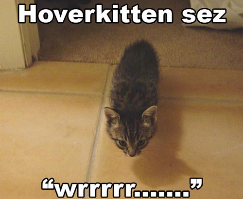 hoverkitten-wrrr.jpg