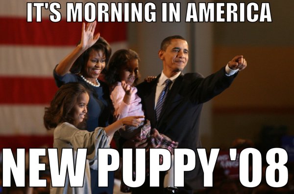 obamapuppy08.jpg